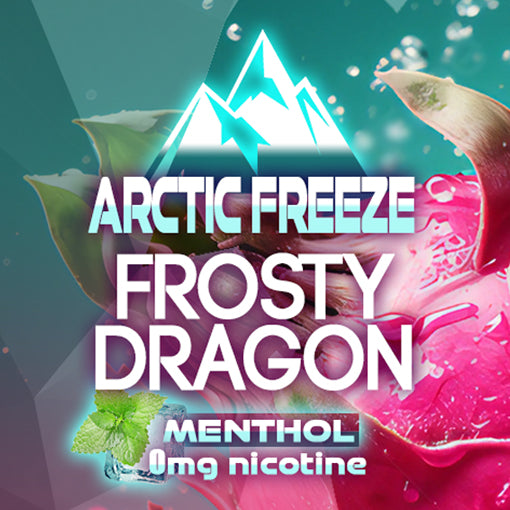Arctic Freeze Frosty Dragon